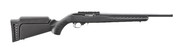 Ruger 10/22 Carbine .22LR Sports South Exclusive 31239