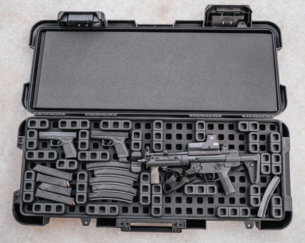 LWRCI IC-DI Billet AR15 FDE .223/5.56 w/Magpul DACA case and Holosun AEMS-CORE-X2-RD
