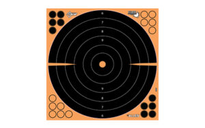 ALLEN EZ AIM 16"X16" BULLSEYE 5PK