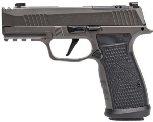Sig Sauer 365AXGCA9LEGION10 P365 AXG Legion 9mm 10+1 3.10" Compact Frame Legion Gray Cerakote Stainless Steel Slide G-10 Grip