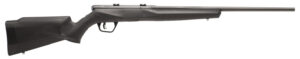 Savage Arms 70840 B17 F Compact 17 HMR 10+1 18" Matte Black Button Rifled Barrel, Matte Black Drilled & Tapped Carbon Steel Receiver, Matte Black Fixed Synthetic Stock, Left Hand