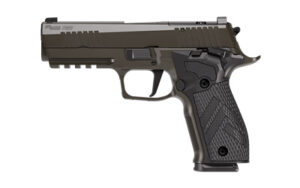SIG 226 XLGN DA/SA 9MM 4.4" 10RD GRY