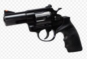 RIA AL22MB 22WMR STD DA 8RD