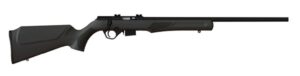 BRAZ RB17H 17HMR 21" BLK 10RD