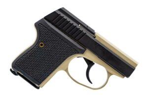 SEE LWS-380 2" 380ACP BSAND 6R