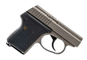 SEE LWS-380 2" 380ACP GMGREY 6