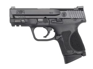 SW M&P9 M2.0 CMPT NTS 12RD