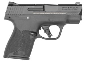 SW M&P9 SHIELD PLUS + TS 10RD