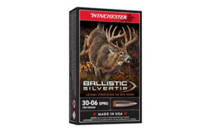 WIN BLSTC TIP 3006SP 150GR 20/200