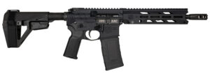 DIA DB1984B001  300BO DB15 10       30R*BRACE* BLK
