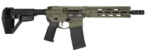 DIA DB1984B101  300BO DB15 10       30R*BRACE* ODG
