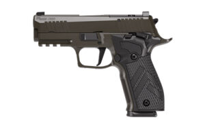 SIG P226 XLGN DA/SA 9MM 3.8 10RD GRY