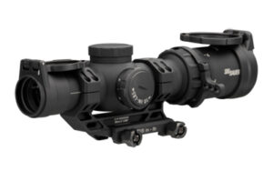 SIG TANGO-MSR CMP 1-10X24 SFP BDC10