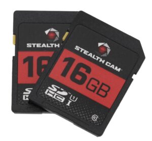 STEAL STC-16GB2PK    16GB SD CARD 2PACK