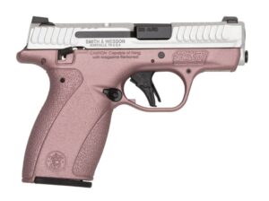 SMITH & WESSON BODYGUARD 2.0 380 ACP 2.75IN BARREL 10RD BLUSH/SILVER TS COMPLIANT  14779