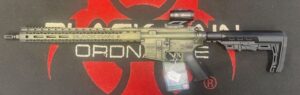 Black Rain Ordnance Spec15 AR15 5.56 Bullfrog Battleworn w/ Burris RT-3
