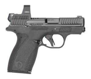 S&W BODYGRD 2.0    14786 380 2.75    RFX1   10/12R